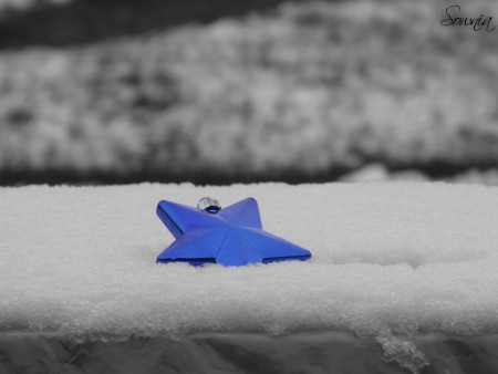 Etoile sous la neige